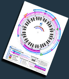 MusicSimple PowerWheel music theory reference tool