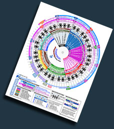 MusicSimple PowerWheel Pro music theory reference tool