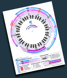 PowerWheel Standard