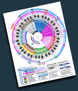 PowerWheel Pro